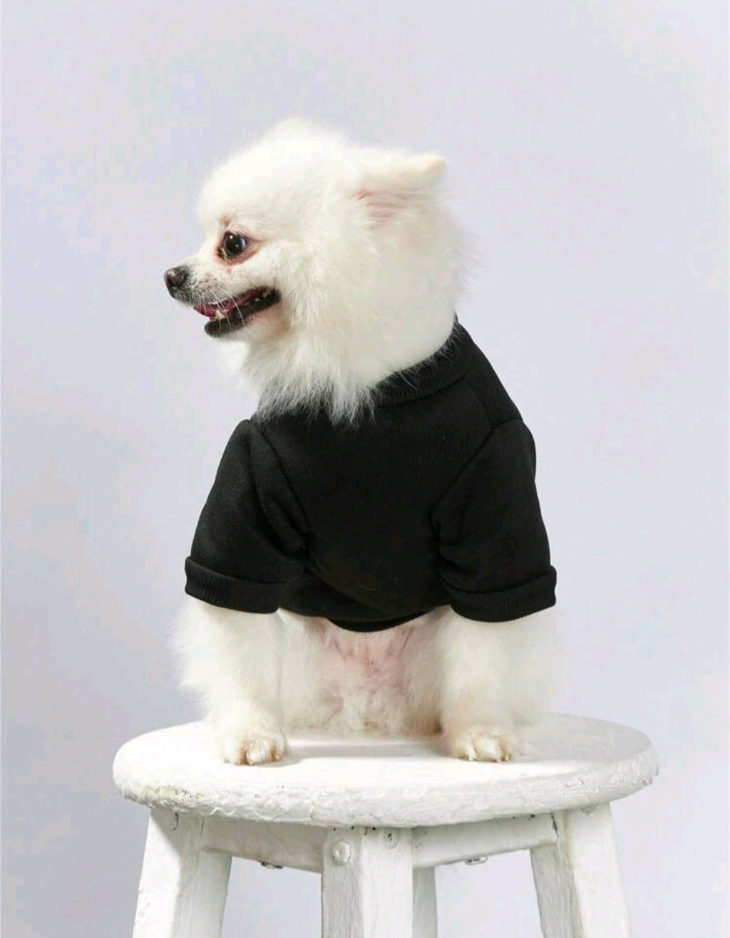 Debiesn Artist Retro Street 1pc Black Crown & Letter Print Pet Pattern Pullover Sweatshirt