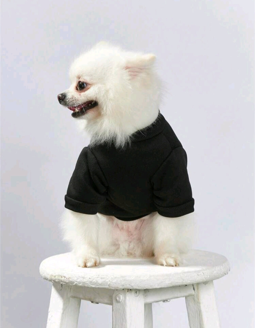 Debiesn Artist Retro Street 1pc Black Crown & Letter Print Pet Pattern Pullover Sweatshirt